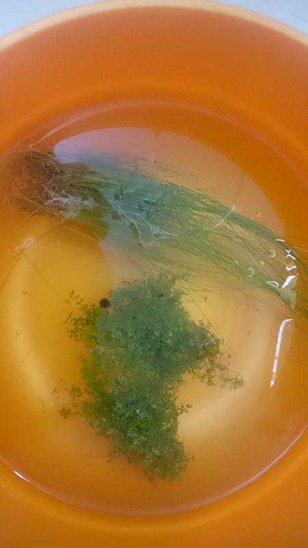  Начать новую тему