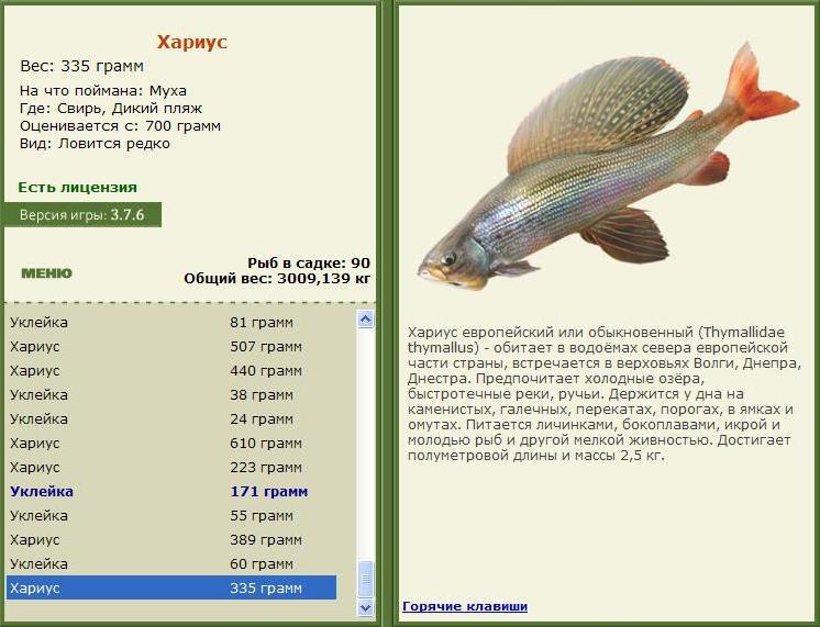 Дикий пляж 