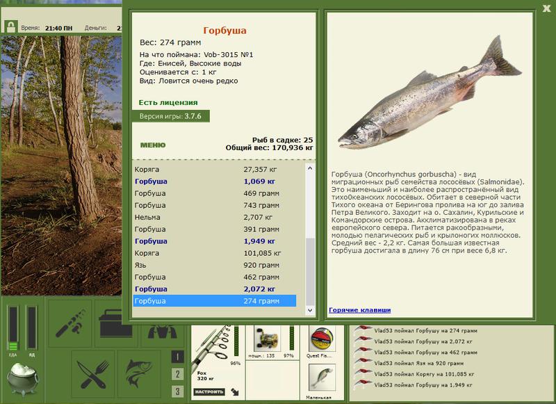 Высокие воды 