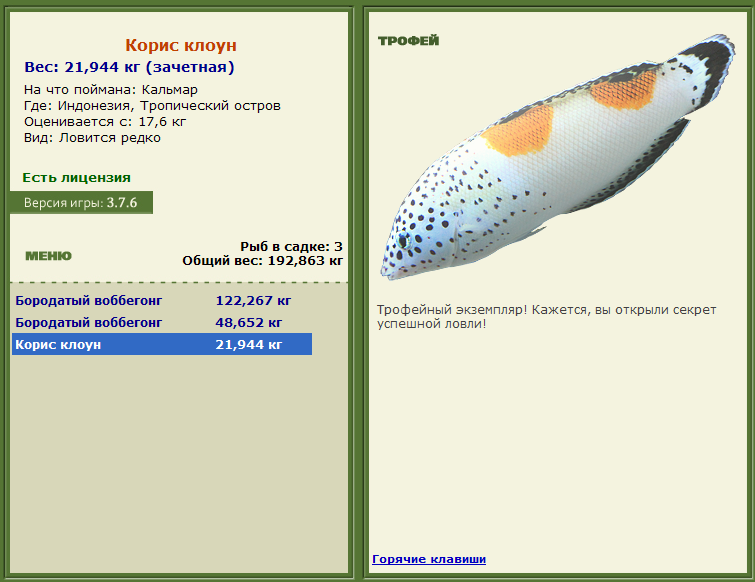 Заявки на рекорд 