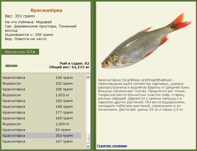 Туманный восход 