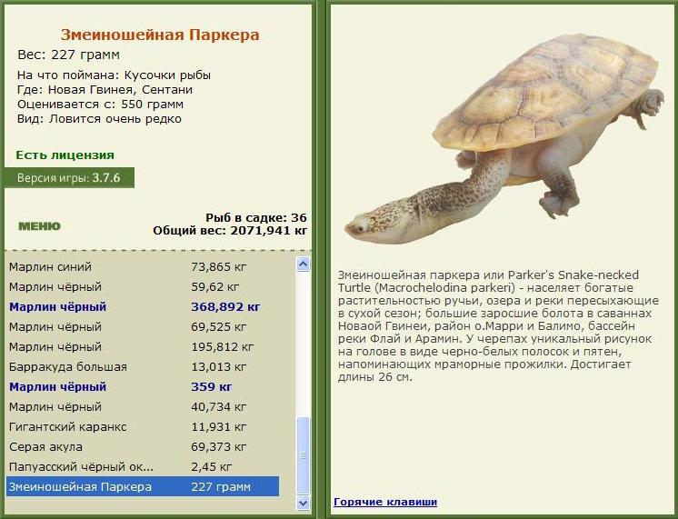 Сентани 