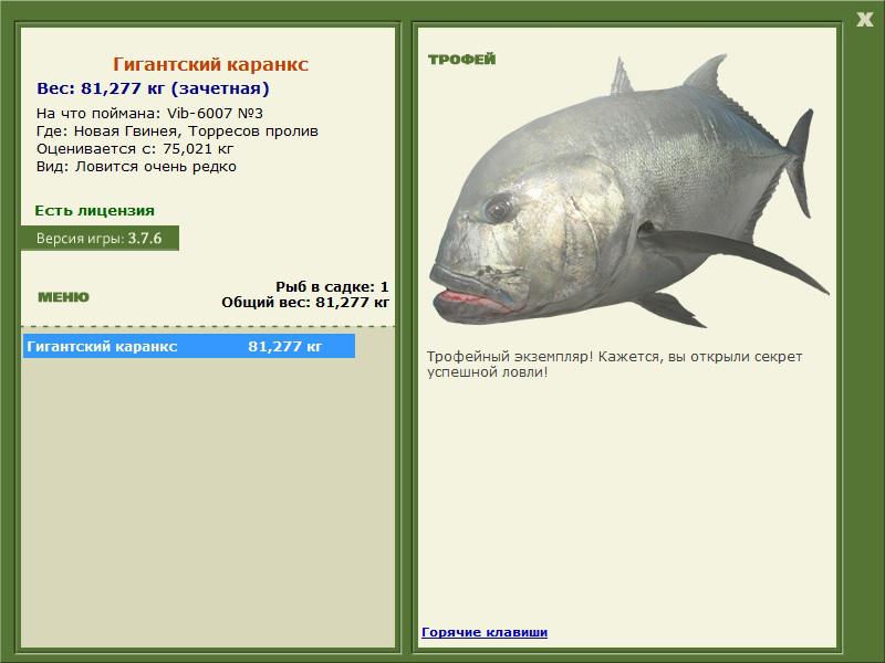 Торресов пролив 