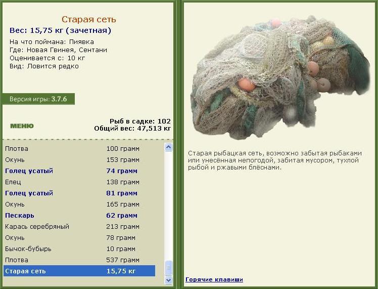 Старая сеть 