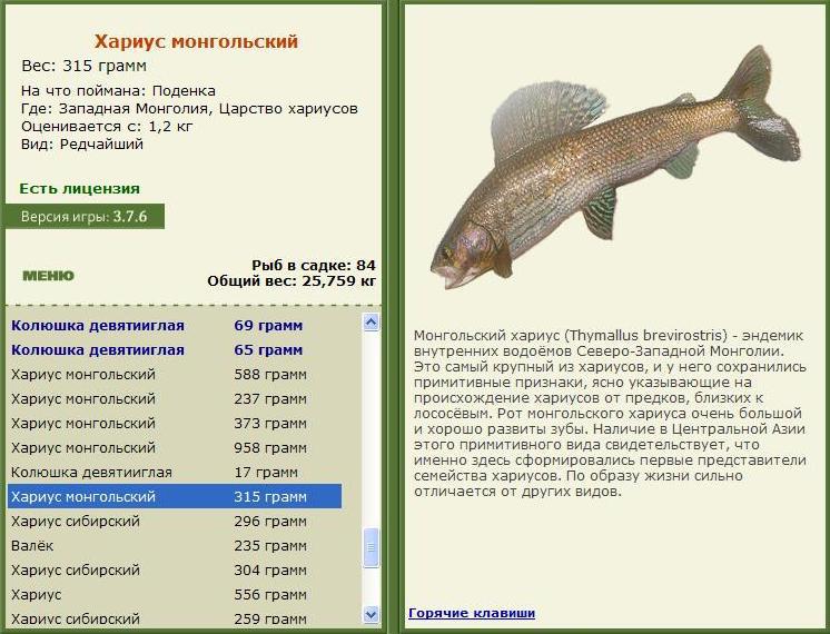 Царство хариусов 