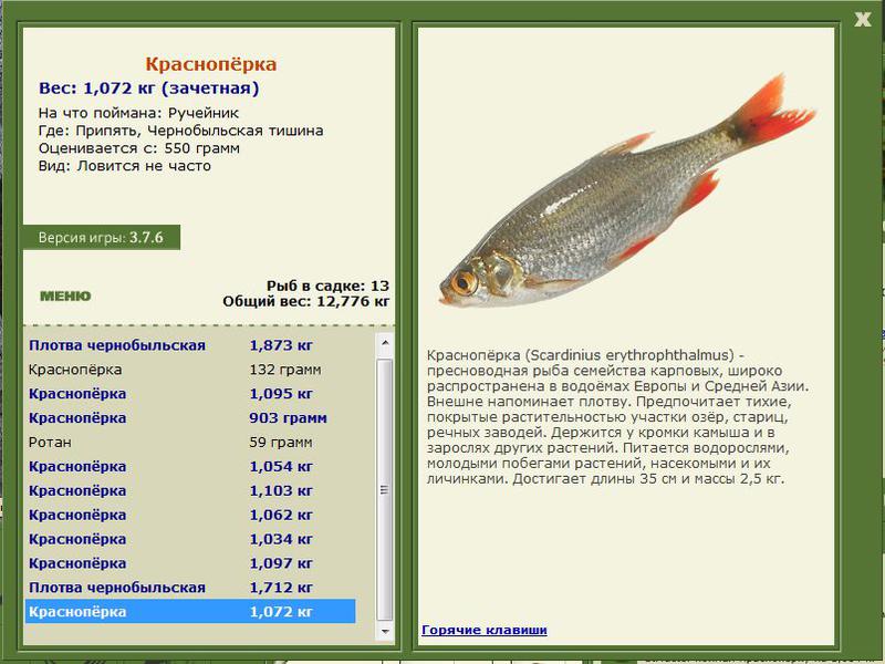 РУССКАЯ РЫБАЛКА Installsoft Edition 
