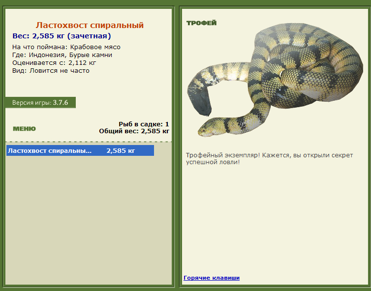 Заявки на рекорд 