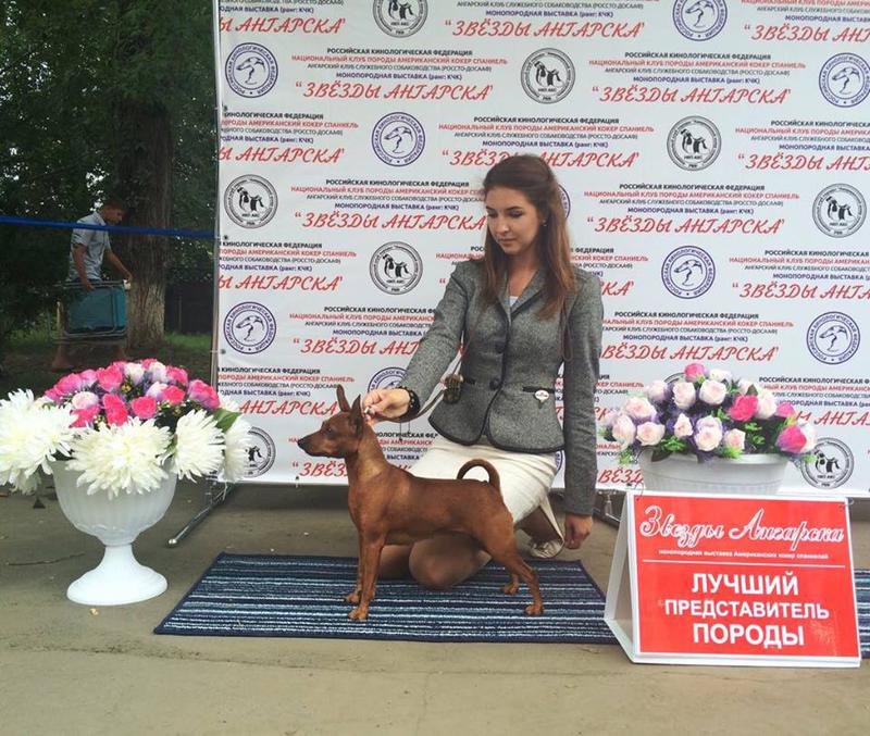 д.р 25.05.2017 рыжие кобели в питомнике \\
