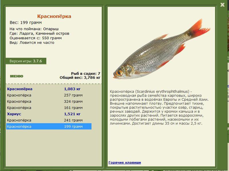РУССКАЯ РЫБАЛКА Installsoft Edition 