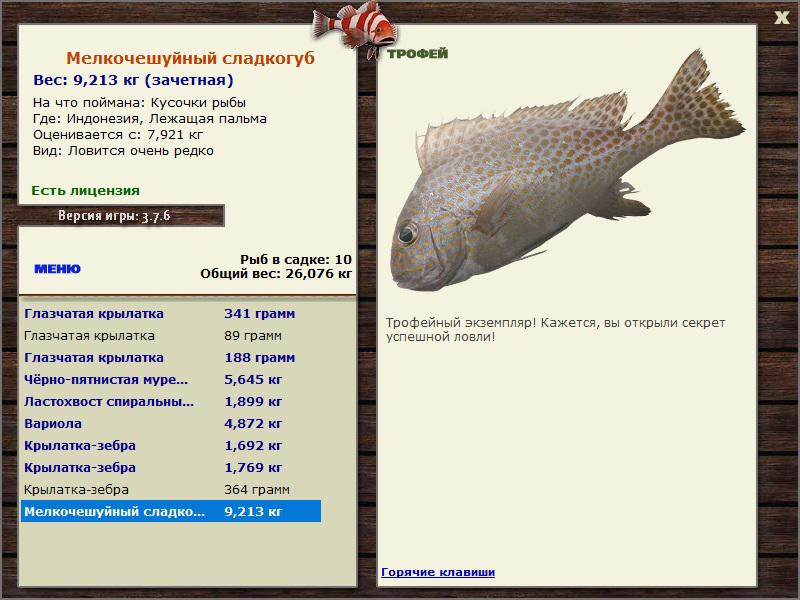 Заявки на рекорд 