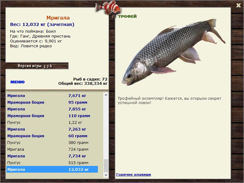 Мригала 