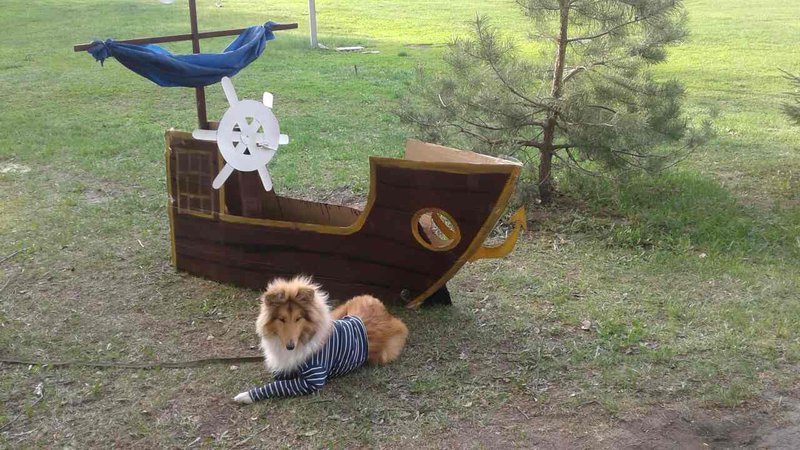  Антошины рассказы