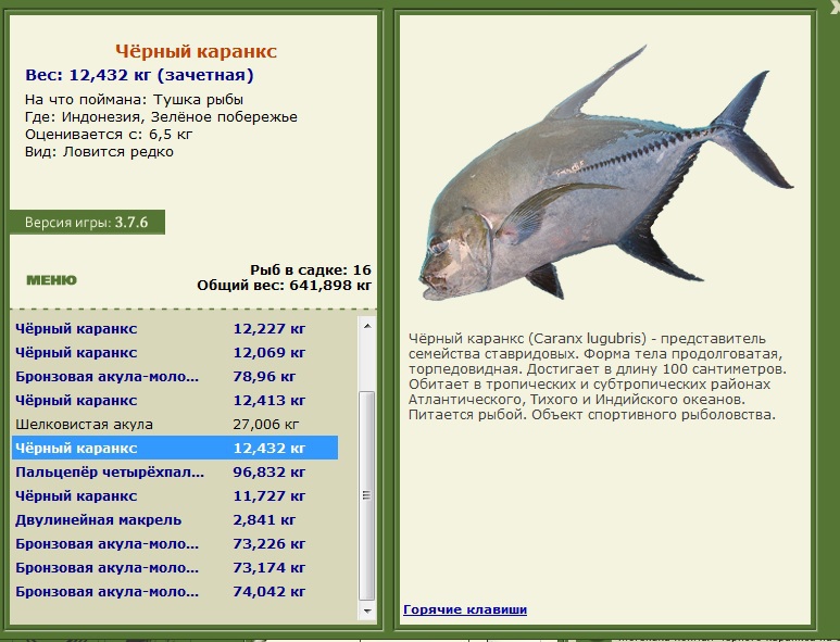 Заявки на рекорд 
