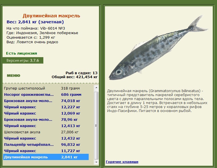 Заявки на рекорд 