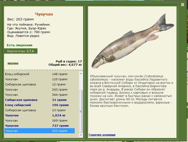 РУССКАЯ РЫБАЛКА Installsoft Edition 