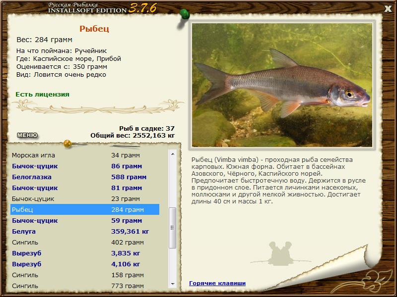 Прибой 