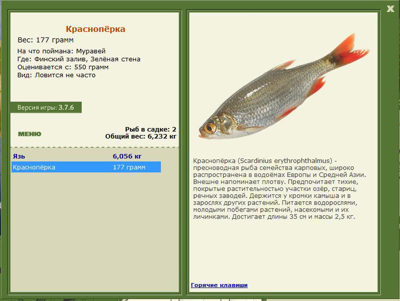 РУССКАЯ РЫБАЛКА Installsoft Edition 