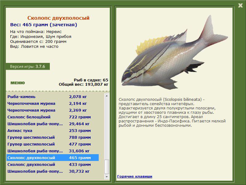 Заявки на рекорд 