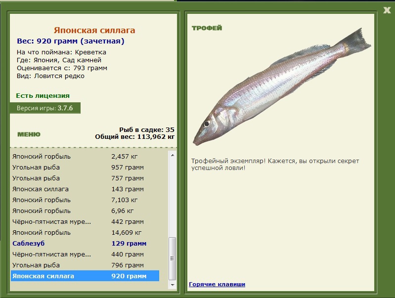 Японская силлага 