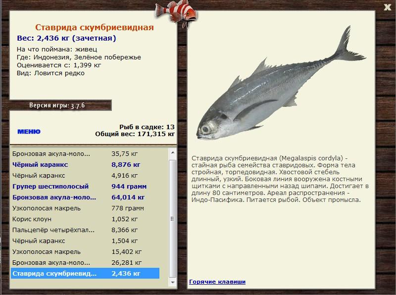 Заявки на рекорд 