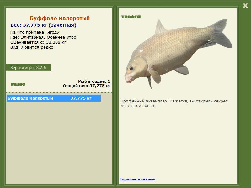 Осеннее утро 