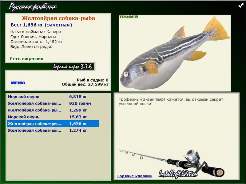 рыба • Рыбы • РУССКАЯ РЫБАЛКА