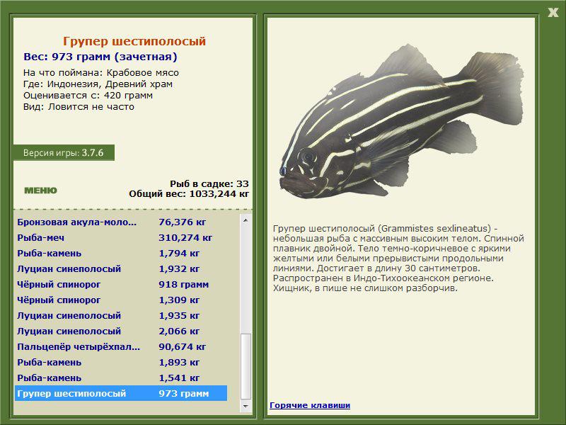 Заявки на рекорд 