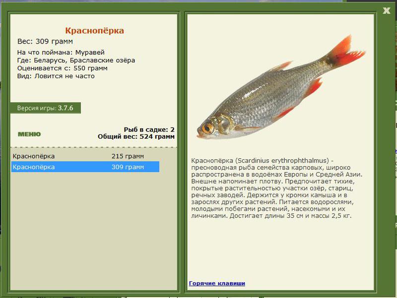 РУССКАЯ РЫБАЛКА Installsoft Edition 