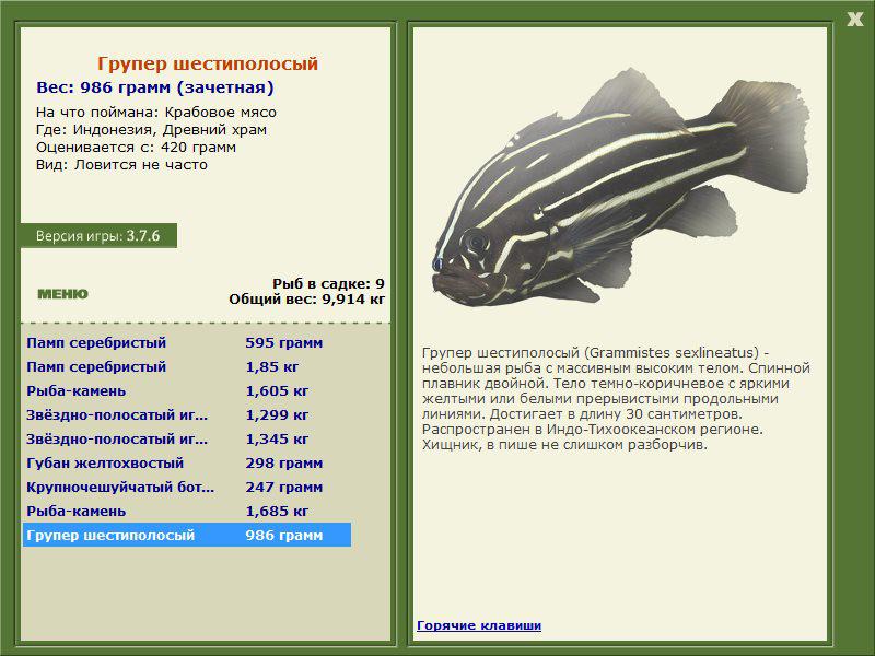 Заявки на рекорд 