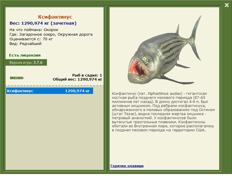 Ксифактинус 