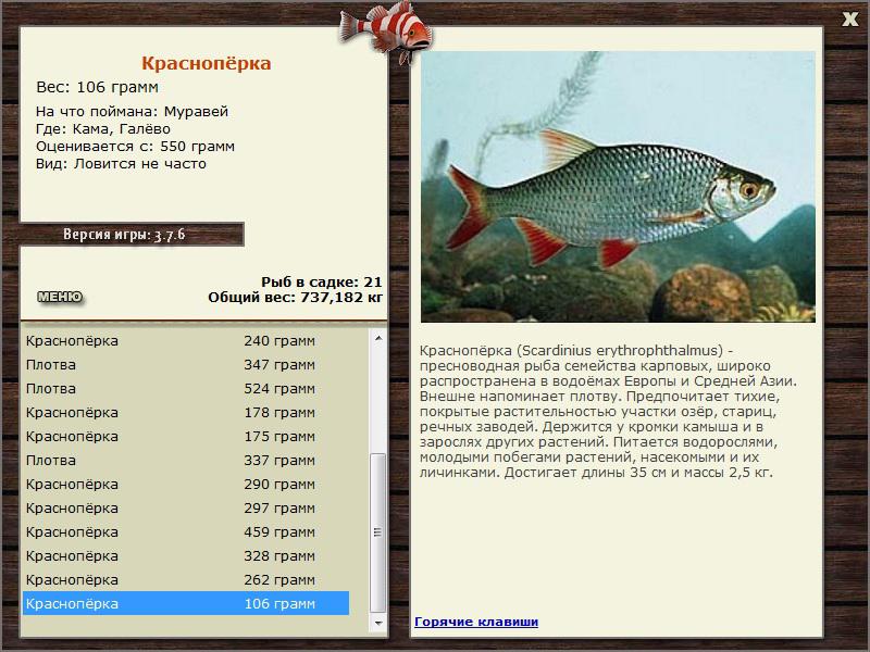 Галёво 