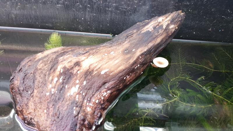  Начать новую тему