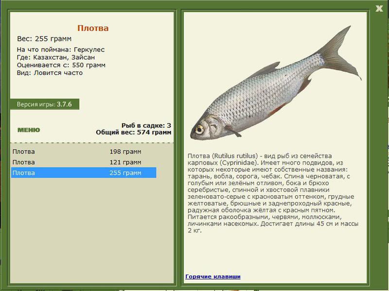 РУССКАЯ РЫБАЛКА Installsoft Edition 