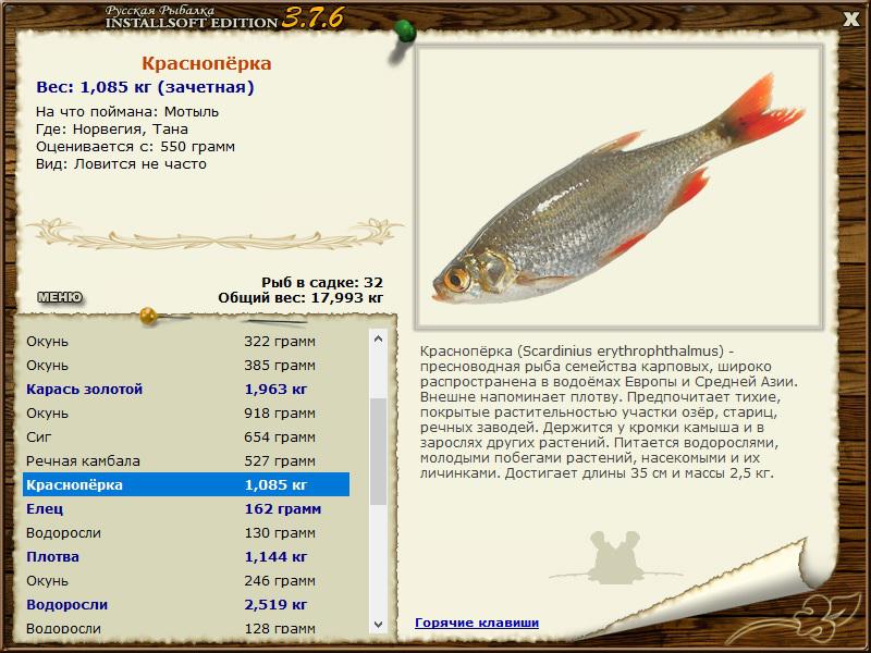 РУССКАЯ РЫБАЛКА Installsoft Edition 