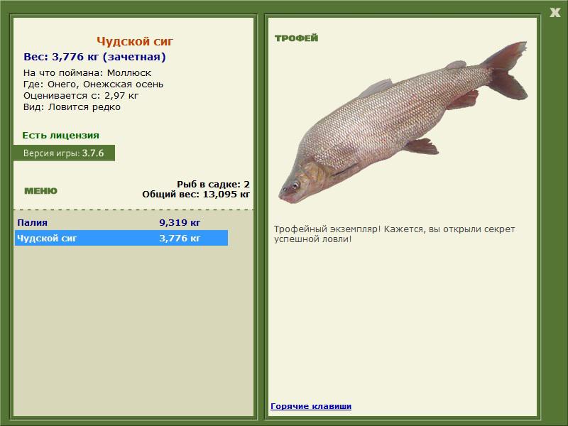 Чудской сиг 