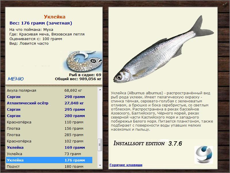 Вязовская петля 
