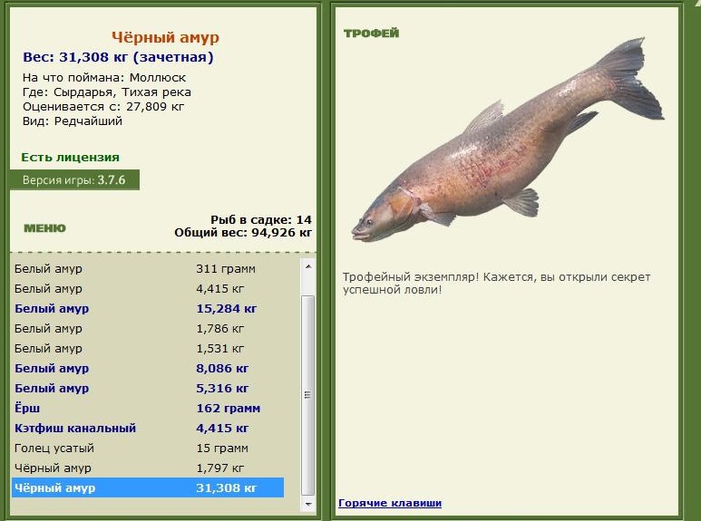 Чёрный амур 