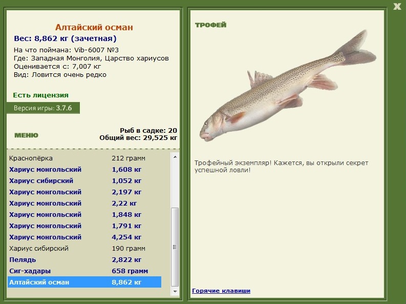 Царство хариусов 