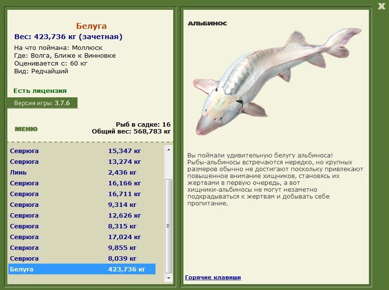 Ближе к Винновке 