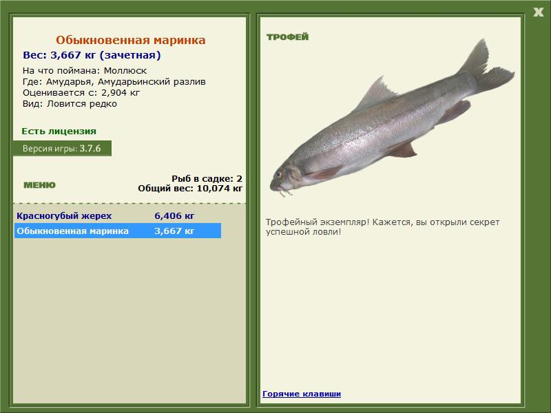 Амударьинский разлив 