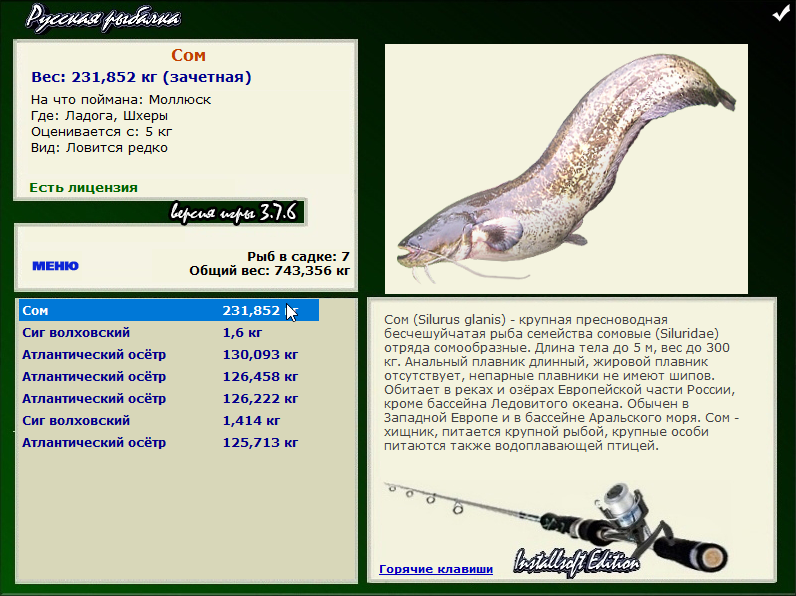  Максимальный Вес • Praise-турниры • РУССКАЯ РЫБАЛКА