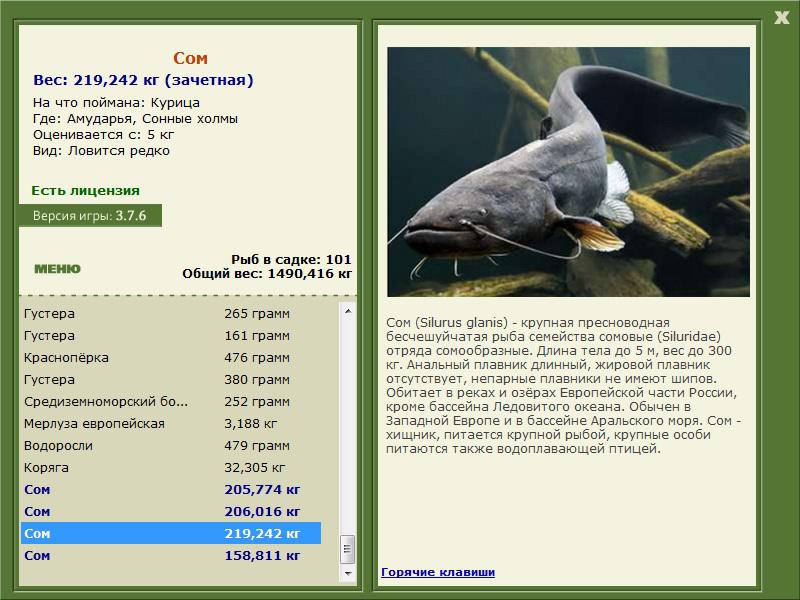  Максимальный Вес • Praise-турниры • РУССКАЯ РЫБАЛКА