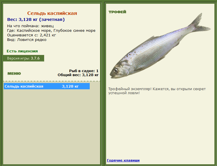 Торресов пролив 