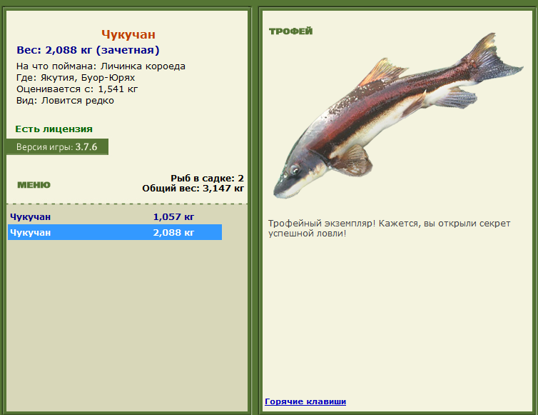 Торресов пролив 