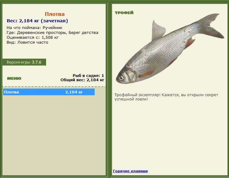 Торресов пролив 