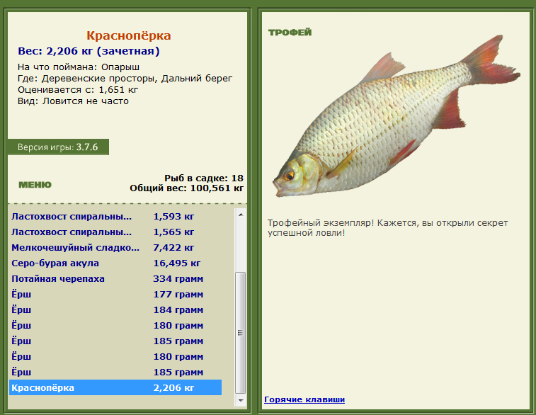 Торресов пролив 