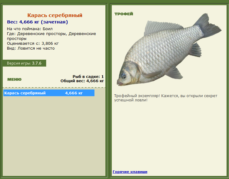 Торресов пролив 