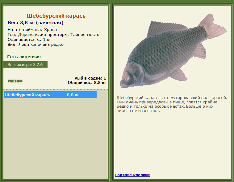 Торресов пролив 