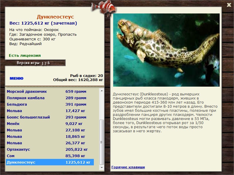 Окорок 