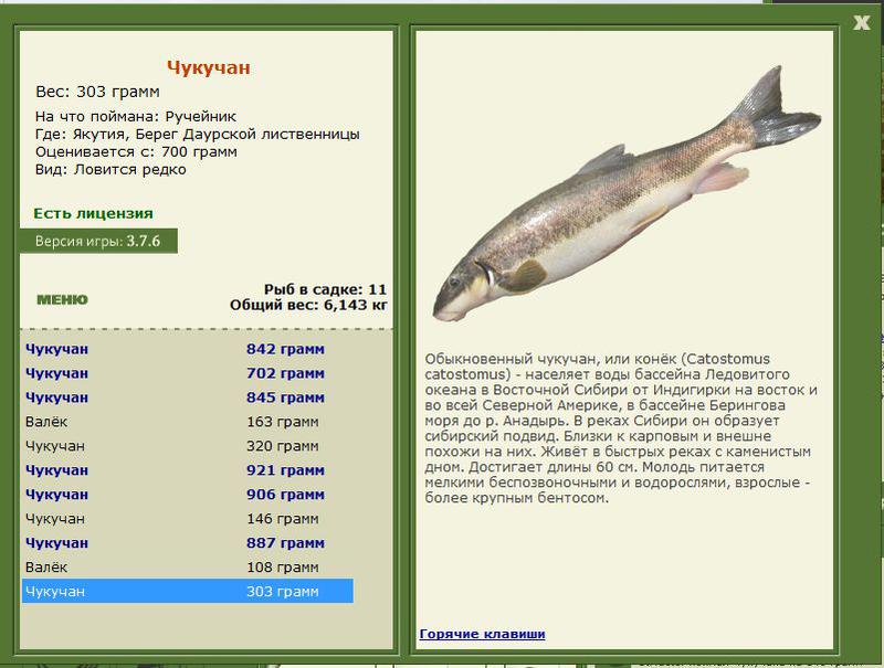 РУССКАЯ РЫБАЛКА Installsoft Edition 
